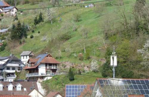 Ferienwohnung am Wald Dörlinbach Parkplatz Überdachte Terasse Garten - Photo 16