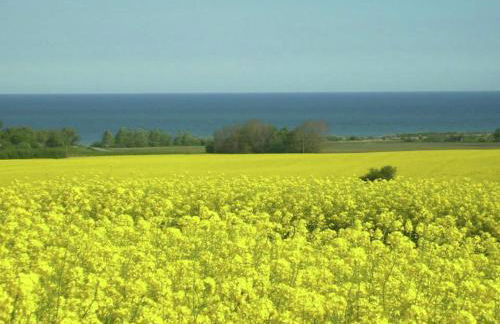 Cozy Apartment in Kägsdorf near Sea - Foto 53