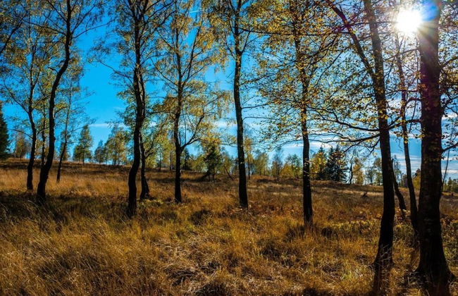 Cosy, 1800 Farmhouse With Sauna - Foto 31