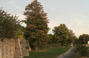 Mittelalterliches Fachwerkhaus am Diebesturm - klimatisiert- - Foto 40
