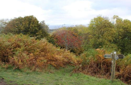 Pardlestone Farm – Self-Catering Cottages - Foto 50