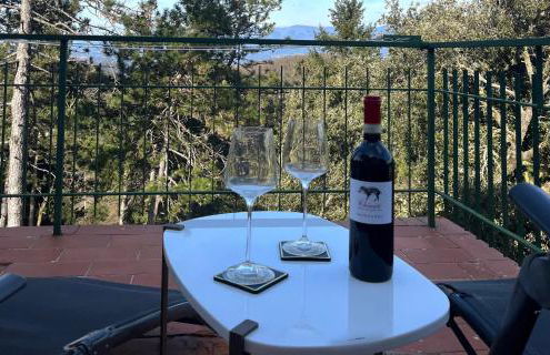 Casa Relax nel Chianti - Foto 14