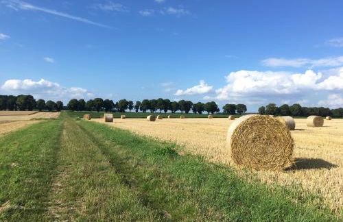 Ferienapartment Kastanje - Foto 24