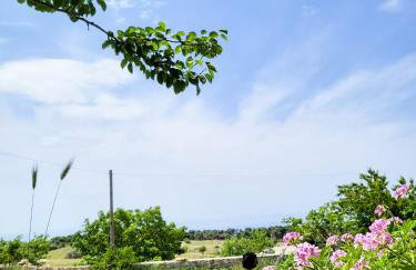 Angelos Stone Cottage - Foto 19