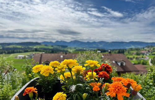 Appart am Hang mit Alpenblick - Foto 7