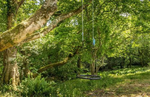 Tent 2 Tangleweood - Ukc4717 - Foto 24