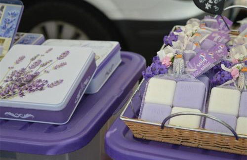 BO040-1157 Appartement 2 pièces 4 couchages BORMES LES MIMOSAS - Foto 17