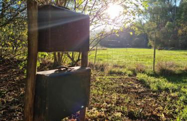 Ferienhaus Rehblick - direkt in der Natur, mit Lesezimmer und zwei Terrassen - Foto 43