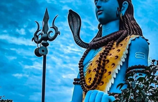 Royal Tusker Luxury Service Apartments - Foto 56