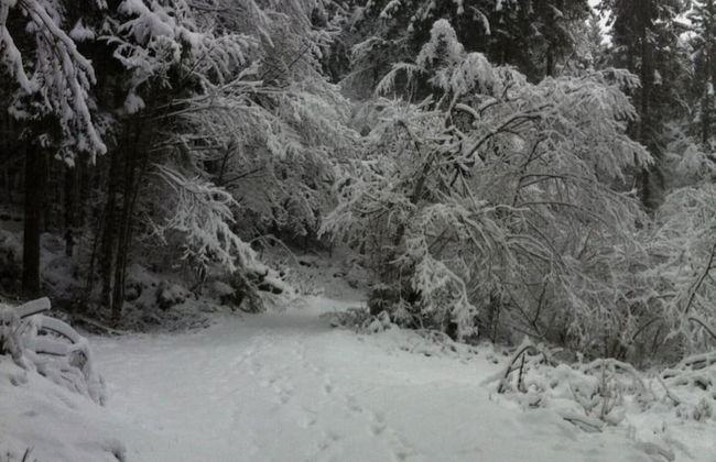 Locanda Alla Stella - Foto 54