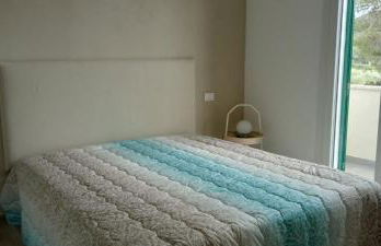 Riccio di Mare - Foto 9