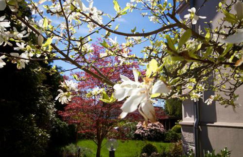 Villa Rosengarten - Foto 36