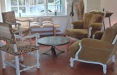 Domaine des Aulnaies - Beauval - Mareuil sur Cher - Foto 23