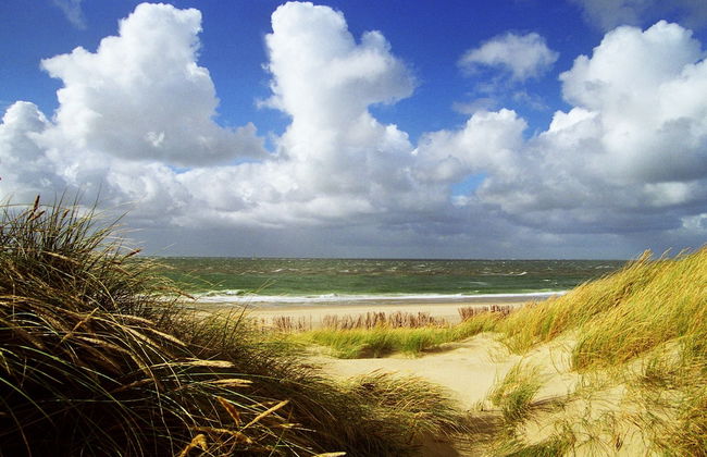 TOP Apartments Roth am Strande - Photo 19