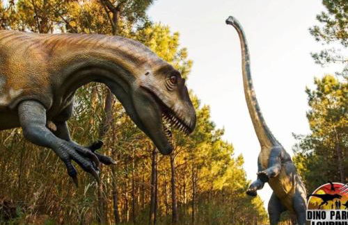 Holiday Home Heilige Efigenie by Interhome - Foto 46