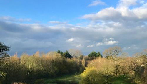 Duneden Cottage and Grounds - Foto 3