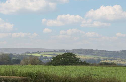 The Pheasant Two - Photo 27