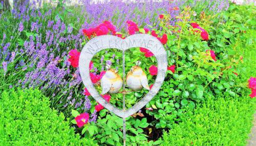 Müllers Hof Ferienwohnung/Pension - Foto 4, Garden