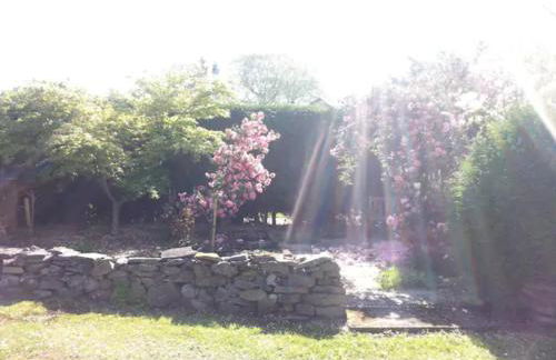 Home Comforts in Peaceful 2 Acres - Photo 10