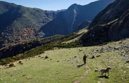 Fogar Mozárabe - Foto 25