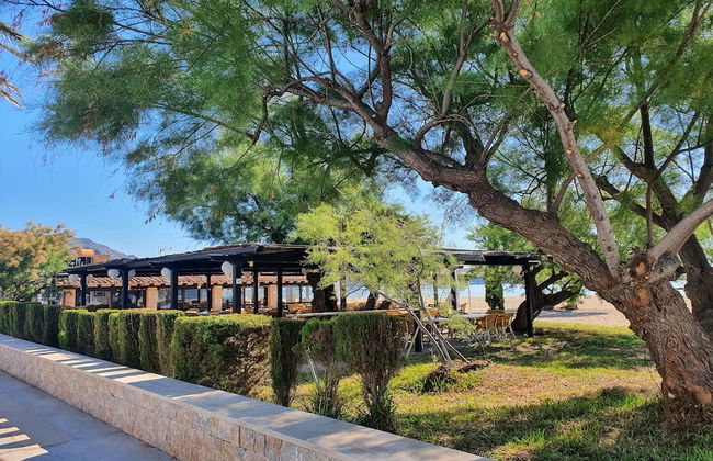 Apartamento Ferragut - Foto 22