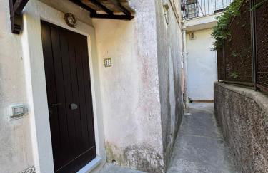 Tender to Carafa - Foto 15