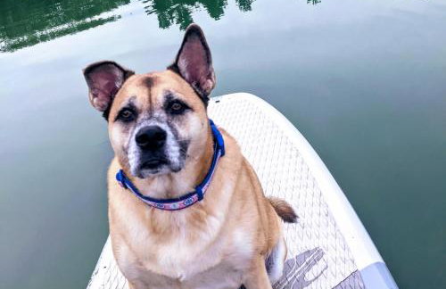 Log Cabin on Saltwater Cove - Foto 25