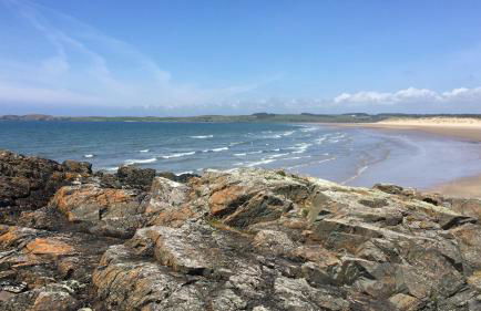 Pen Braint - Foto 34