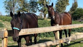 Agriturismo I Leprotti - Photo 3