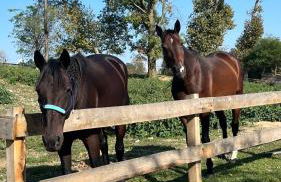 Agriturismo I Leprotti - Photo 3