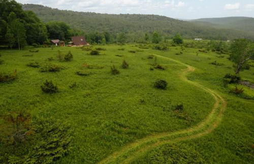 Rustic Escape UTV, Tub, Trails & Fire Pit 25 acre - Foto 58