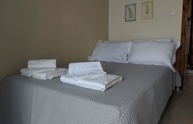 Zennova Sea & Mount Athos View 3 - Photo 3