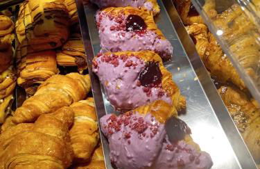 Poggio agli Ulivi vicolo di Colle Reti 22 Frascati - Foto 23