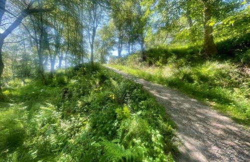 Daisy Cabin - Photo 36