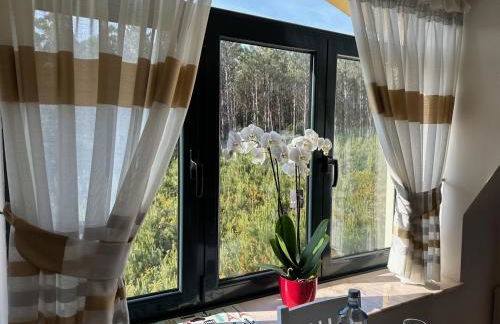 Ático de Carmen - Foto 11