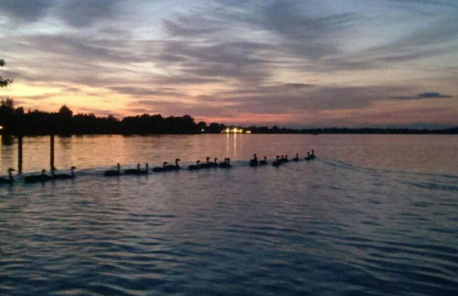 Rustic-chic Villa With Thatched Roof - Photo 36