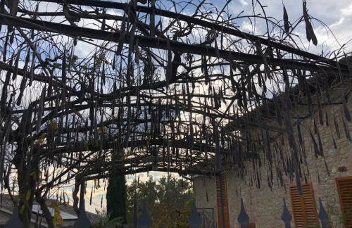 Agriturismo San Giusto - Foto 42