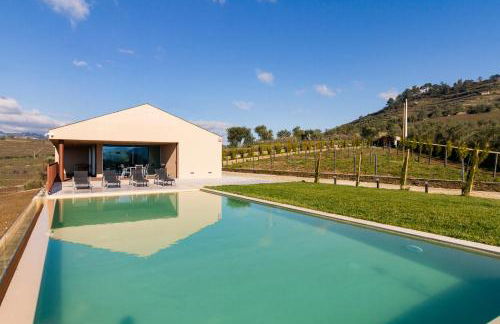 Douro Valley Luxury Home with Vineyard and Infinity Pool - Photo 7