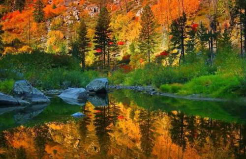 Luxe Bavarian Retreat - in Town with Hot Tub - Foto 75