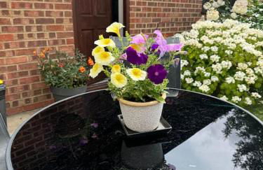 Garden flat in London - Foto 17