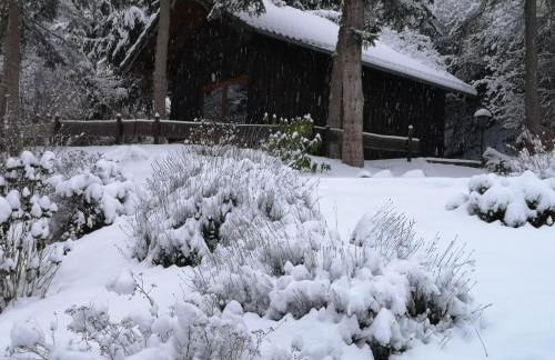 Fewo am Wingertsberg Glees Laacher See - Foto 24