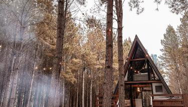 Cabana Alameda Orange - Foto 2