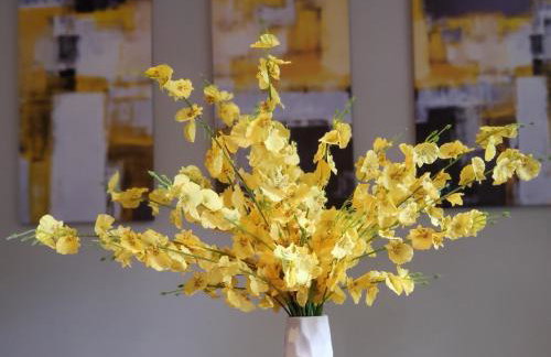 Cheerful 2 BR Near Colleges, Downtown, Attractions - Foto 19