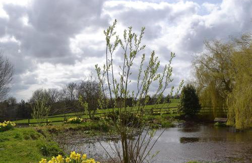 Bugatti House - Foto 15