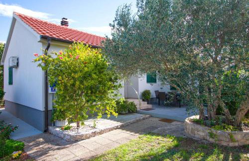 House Pansy - Foto 1