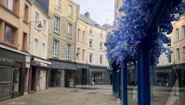 Studio Bois flotté Cherbourg Netflix Parking - Foto 5