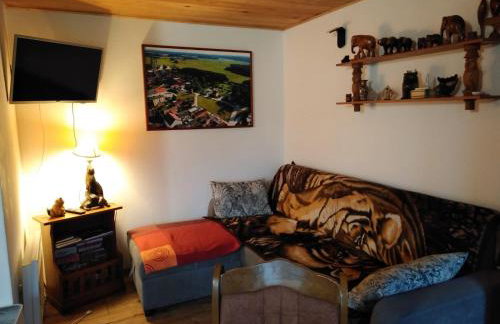 Domek nad stawem - Foto 8