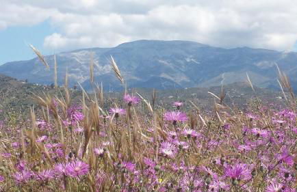 Villa Perla Blanca - Foto 58