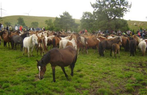 Apartamento Viveiro, Terraza Grande, 2 dormitorios 2 baños, piscinas, parking, tenis, club social - Foto 53