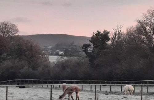 Alpaca cabin-mountain view-hot tub-rural retreat - Foto 37